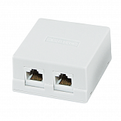 Купить Розетка TDM Electric внешняя, компьютерная RJ-45, 2 гнезда, 8Р-8С, белая по низкой цене
