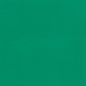 Купить Линолеум Tarkett Omnisports Speed Field Green спортивный 2x20,5 м по низкой цене
