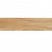 Купить Керамогранит Atlas Concorde Frame Honey Rettificato 900х225 мм по низкой цене