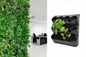 Купить Вертикальный сад BOXSAND 12 с горшками 1 литр по низкой цене