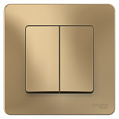 Купить Выключатель Schneider Electric Blanca BLNVS010504 двухклавишный титан по низкой цене