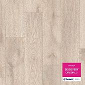 Купить Линолеум Tarkett Discovery Cardinal 2 по низкой цене