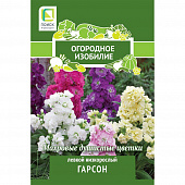 Купить Левкой низкорослый Гарсон по низкой цене