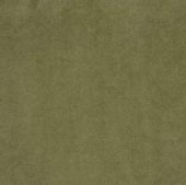 Купить Ткань Galleria Arben Everyday Colors REFRESH 41 ELM по низкой цене