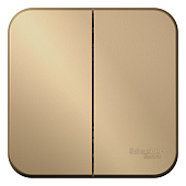 Купить Выключатель Schneider Electric Blanca BLNVA105014 двухклавишный с изолирующей пластиной титан по низкой цене