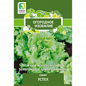 Купить Салат Успех А по низкой цене