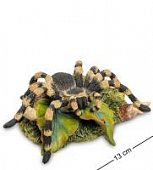 Купить Статуэтка Veronese Паук Тарантул WS-716 по низкой цене