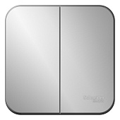 Купить Выключатель Schneider Electric Blanca BLNVA105013 двухклавишный с изолирующей пластиной алюминий по низкой цене