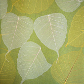 Купить Обои Дизайн Тропик Листья SN-9 натуральные по низкой цене