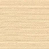 Купить Ткань Galleria Arben Everyday Colors CINEMA 21 STRAW по низкой цене