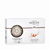 Купить Диффузор Maison Berger Брызги шампанского для авто по низкой цене