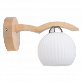 Купить Светильник Spot Light Vasa Birch настенный 5640160 по низкой цене
