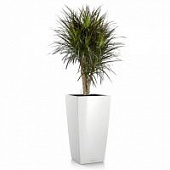 Купить Кашпо Lechuza Cubico 50 см по низкой цене