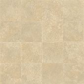 Купить Линолеум Tarkett Evolution Nika 2 бытовой 4х33 м по низкой цене