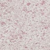 Купить Штукатурка Silk Plaster Рельеф Г-331 декоративная, жидкие обои по низкой цене