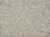 Купить Пробковое покрытие Wicanders Roots Dekwall HAWAI BLACK PEARL настенное RY1F001 по низкой цене