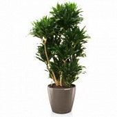 Купить Кашпо Lechuza Classico LS 35 по низкой цене