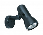 Купить Спот Brilliant Minor 06310T06 по низкой цене