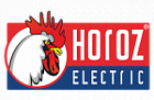 Horoz Electric