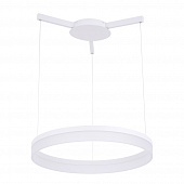 Купить Светильник Arte lamp A2503SP-1WH потолочный по низкой цене