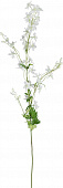 Купить Декор MHLiving Delphinium 004872 по низкой цене