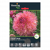 Купить Георгина бахромчатая Миртис Фолли I, 1 1 шт в упаковке Blooming Life по низкой цене