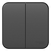 Купить Выключатель Schneider Electric Blanca BLNVA105016 двухклавишный с изолирующей пластиной антрацит по низкой цене