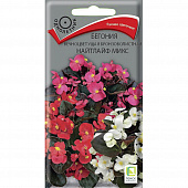 Купить Бегония вечноцветущая бронзоволистная Найтлайф Микс по низкой цене
