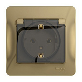 Купить Розетка Schneider Electric Glossa GSL000448 одноместная с заземлением и защитными шторками с крышкой титан по низкой цене