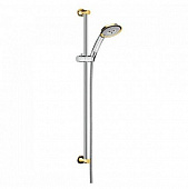 Купить Гарнитур Hansgrohe Raindance Classic 100 27841090 душевой по низкой цене