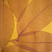 Купить Обои Дизайн Тропик Листья S-9 натуральные по низкой цене