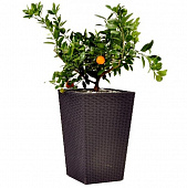 Купить Кашпо Keter Rattan Planter S для цветов Виски коричневый 285х285х435 мм по низкой цене