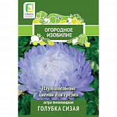 Купить Астра пионовидная Голубка сизая по низкой цене