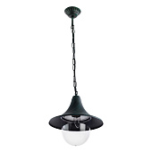 Купить Светильник Arte lamp Malaga A1085SO-1BG подвесной уличный по низкой цене