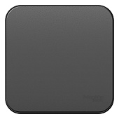 Купить Переключатель Schneider Electric Blanca BLNVA106016 одноклавишный с изолирующей пластиной антрацит по низкой цене