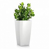 Купить Кашпо Lechuza Cubico 40 см по низкой цене