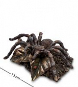 Купить Статуэтка Veronese Паук Тарантул WS-780 по низкой цене