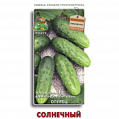 Купить Огурец Солнечный по низкой цене