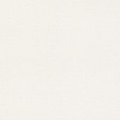 Купить Обои Rasch Textil Petite Fleur 4 288802 флизелиновые по низкой цене