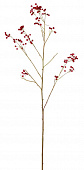 Купить Декор MHLiving Wild Rosehip 004084 по низкой цене