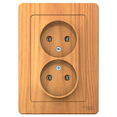 Купить Розетка Schneider Electric Blanca BLNRS000025 двухместная без заземления ясень по низкой цене