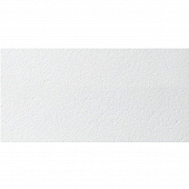 Купить Плита Armstrong Plain Board потолочная 1200х600х15 мм по низкой цене