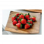 Купить Блюдо Premier Housewares Monkey Pod для сервировки квадратное по низкой цене