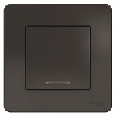 Купить Выключатель Schneider Electric Blanca BLNVS010116 одноклавишный с индикатором антрацит по низкой цене
