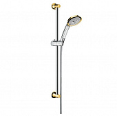 Купить Гарнитур Hansgrohe Raindance Classic 100 27843090 душевой по низкой цене