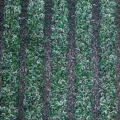 Купить Грязезащитное покрытие Betap Gino 42 по низкой цене