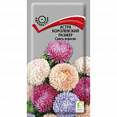 Купить Астра королевский размер Смесь окрасок по низкой цене