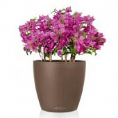 Купить Кашпо Lechuza Classico Color 43 см по низкой цене