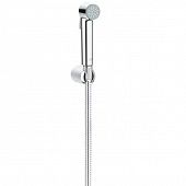 Купить Комплект Grohe Tempesta-F 26354000 для гигиенического душа по низкой цене