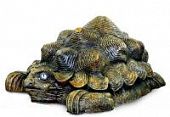Купить Крышка люка черепаха по низкой цене